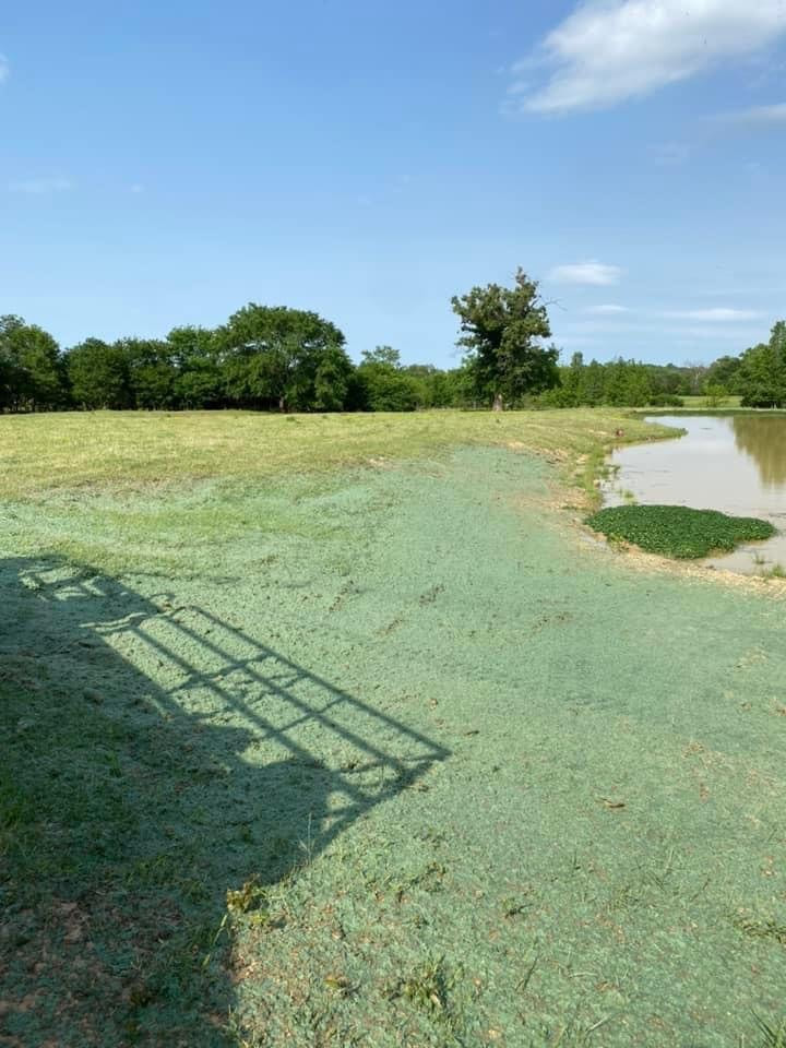Hydroseed Pond Dam Texas Erosion Control