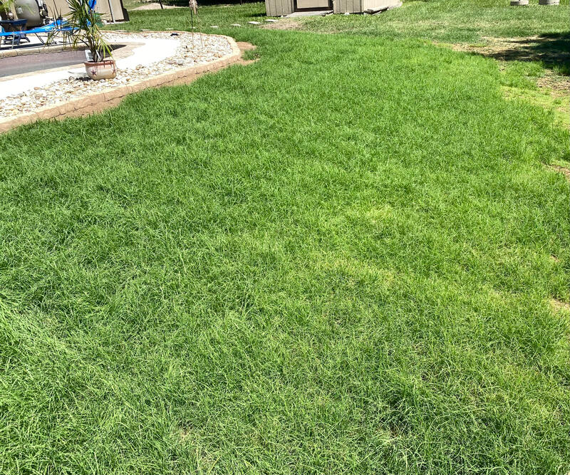 Bermuda Grass Hydroseed Texas Erosion Lawn